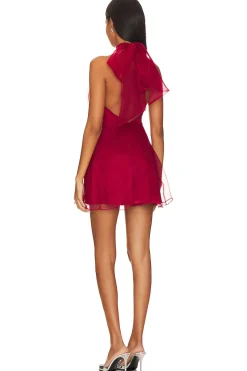 New Heartbreaker Dress Dresses