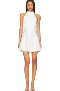 New Heartbreaker Dress Dresses
