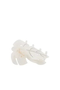 Best Palm Leaf Clip Beauty