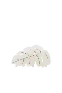Best Palm Leaf Clip Beauty
