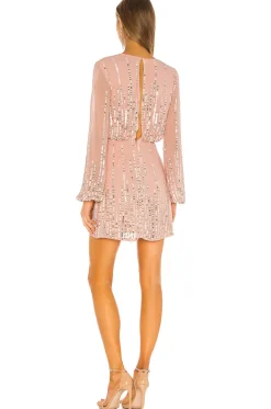 Hot Poppy Mini Dress Dresses