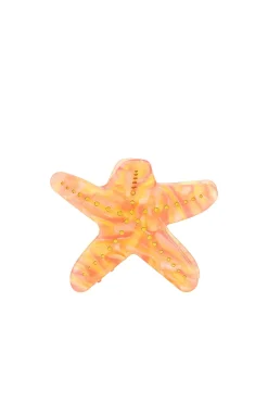 Clearance Stella Clip Beauty